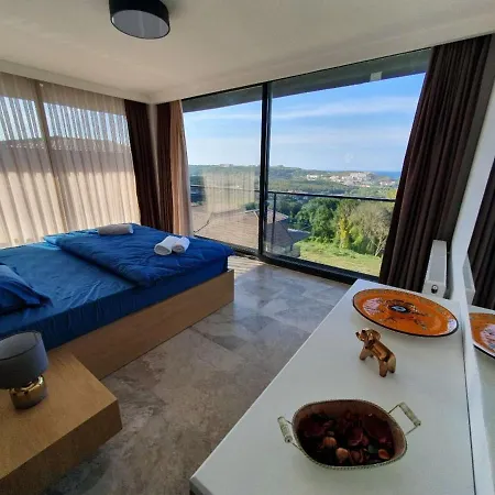 Vila 5 Star With 4 Bedrooms, Istanbul 1001